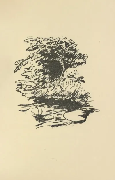 Histoires Naturelles Pl 58