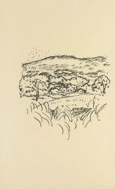 Histoires Naturelles Pl 61