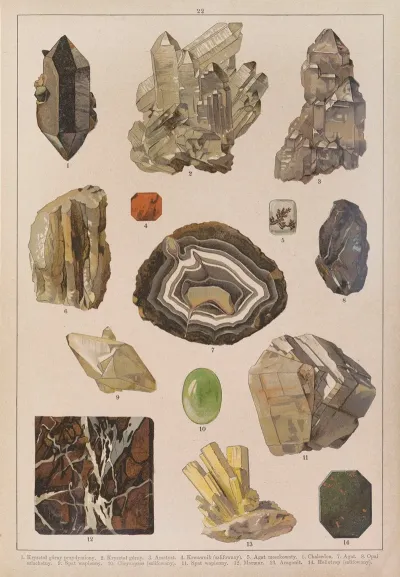 Historya Naturalna W Obrazach Pl 22