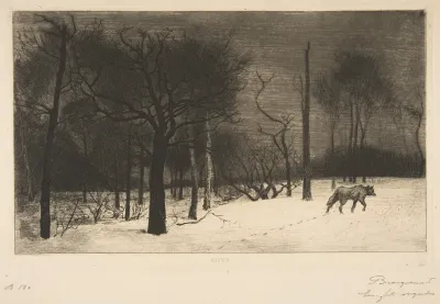 Hiver Le Loup Dans La Neige