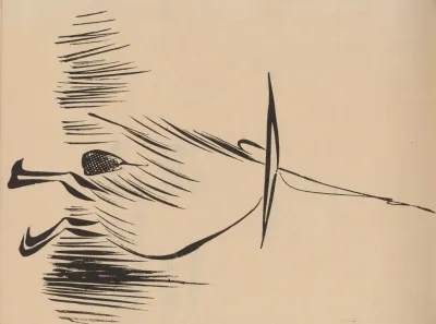 Hogajo Pl 17