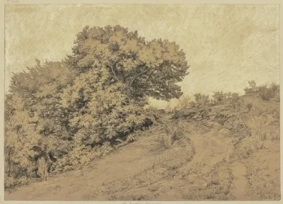 Hohlweg In Burgund Mit Baumwerk Zur Linken Seite