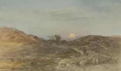 Hohlweg Mit Schafherde Bei Sonnenuntergang