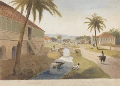 Holland Estate St Thomas In The East Jamaica