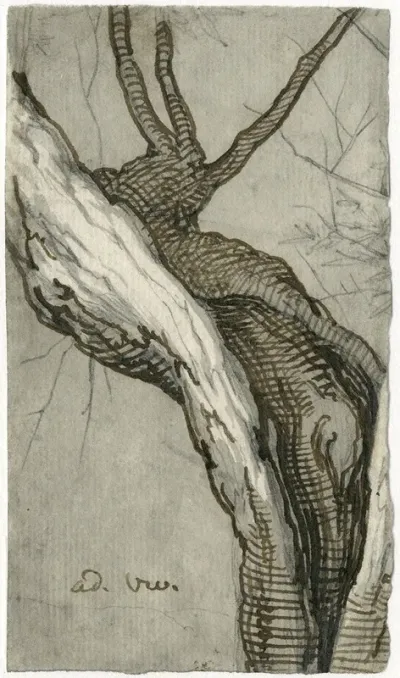 Holle Wilgenstam