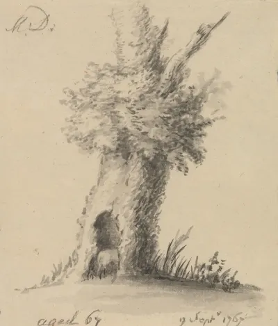 Hollow Tree 2