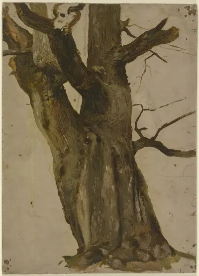 Hollow Tree
