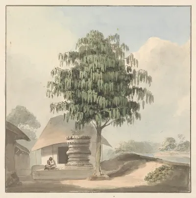 Holy Man Seated Near Plinth Under A Tree