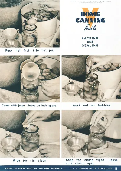 Home Canning Fruits Packing And Sealing