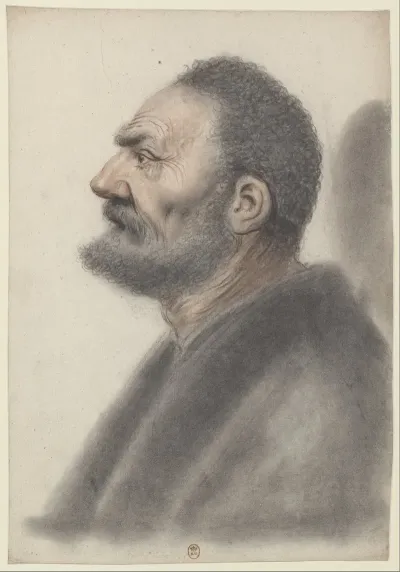 Homme A La Barbe Courte Et Aux Cheveux Frises La Tete Legerement Relevee De Profil A Gauche