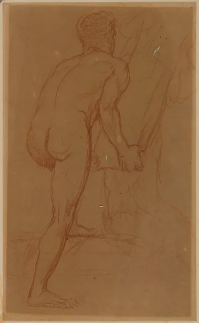 Homme Nu De Dos