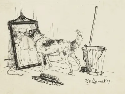 Hond Snuffelt Aan Een Spiegel