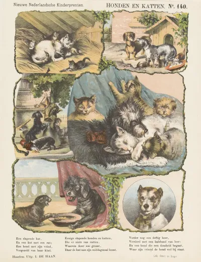 Honden En Katten