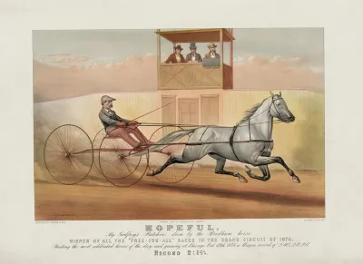 Hopeful By Godfreys Patchen Dam By The Bridham Horse