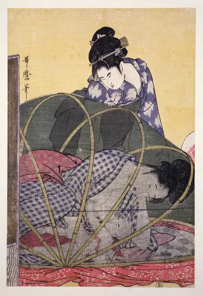 Horo Gaya Mosquito Net For A Baby