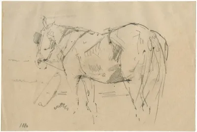Horse 15