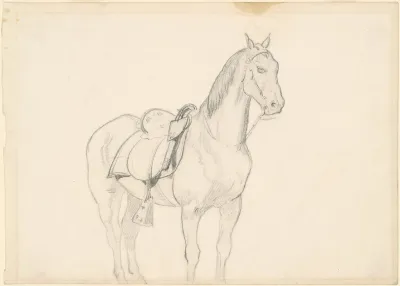 Horse 2