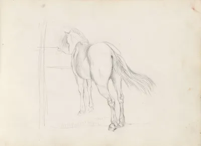Horse 4