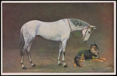 Horse And Dog 2