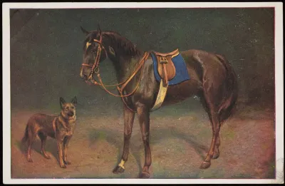 Horse And Dog 3