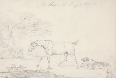 Horse And Dog