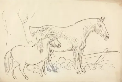 Horse And Pony