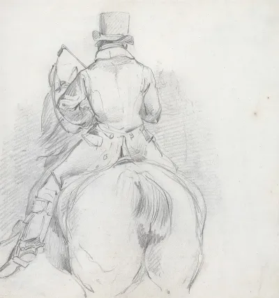 Horse And Rider Seen From The Rear