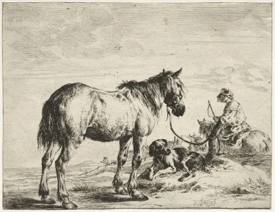 Horse Bound To A Post