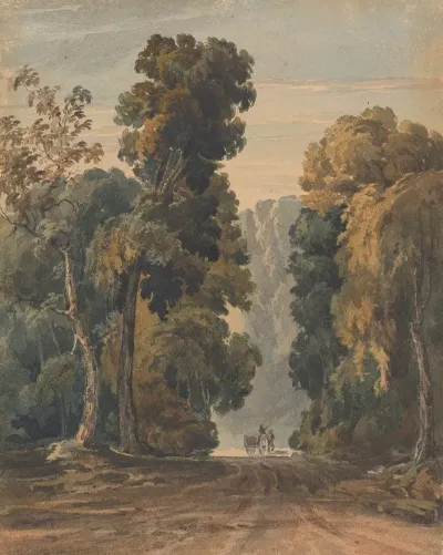 Horse Cart And Driver On Wide Tree Lined Lane