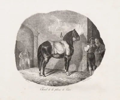 Horse From The Caen Plain