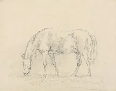 Horse Grazing