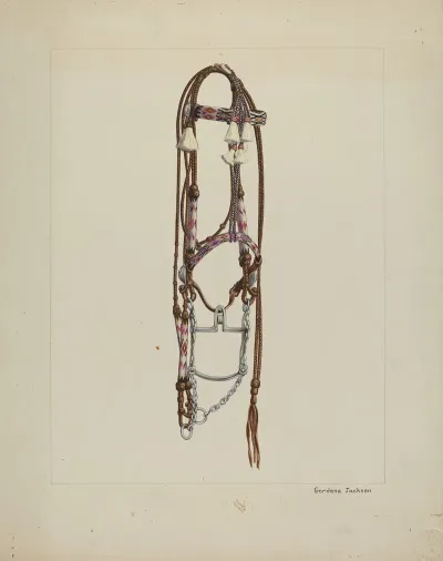 Horse Hair Bridle