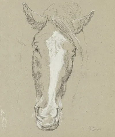 Horse Head 2