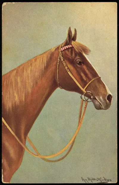 Horse Head 3