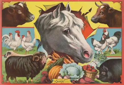 Horse Head With Farm Animals And Produce