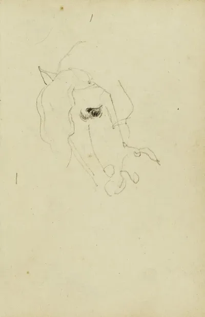 Horse Head