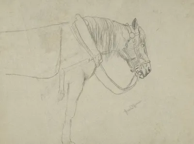 Horse In A Harness