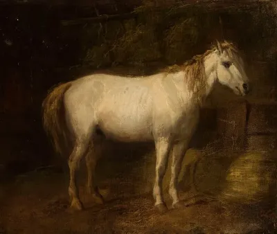 Horse In The Stables