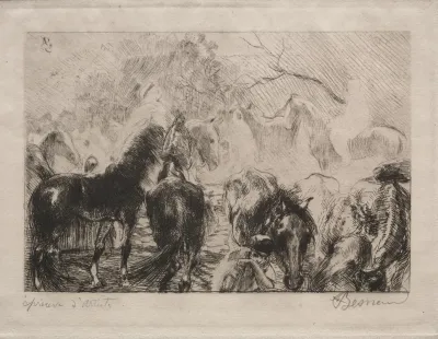 Horse Market In Algiers