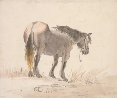 Horse Standing On A Mound