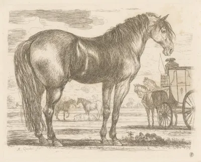 Horse Standing To The Right