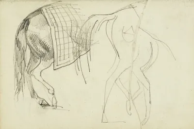 Horse Studies 2