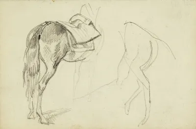 Horse Studies 3
