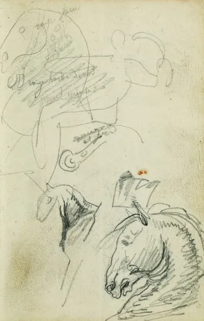 Horse Studies