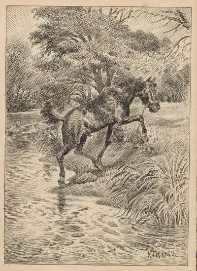 Horse Trotting Away From The Lake