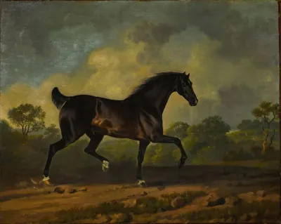 Horse Trotting