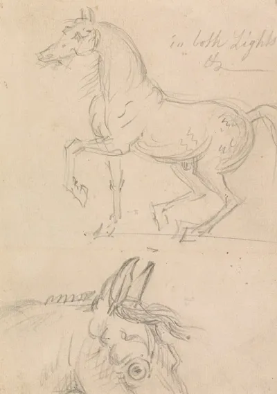 Horse Walking To Left