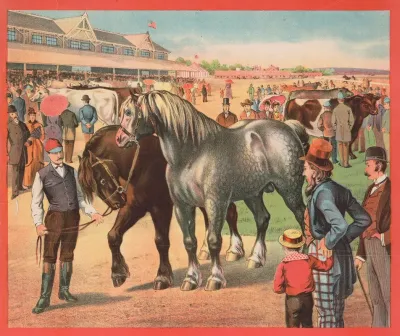 Horses And And Trainer