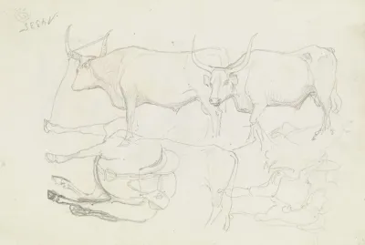 Horses And Cattle