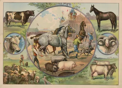 Horses And Jockeys At The Fair